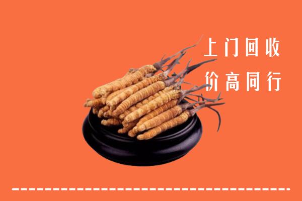 高价求购：阜阳市回收散虫草