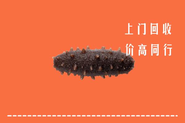 高价求购：阜阳市回收海参